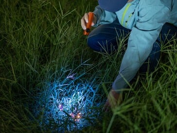 Фонарь Olight ArkPro Ultra оснащён ультрафиолетовым светом для обнаружения органических пятен.
