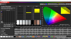 CalMAN ColorChecker (DCI-P3)