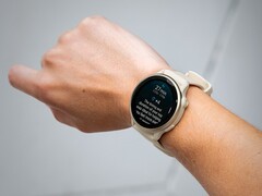 Смарт-часы Garmin vivoactive 6 получают свое первое бета-обновление. (Источник изображения: Garmin)