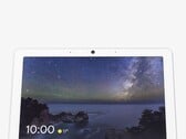 По слухам, Google Home Display может стать преемником Nest Hub Max (на фото)