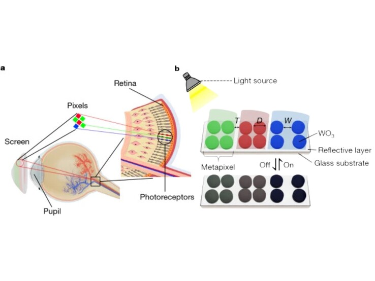 (Источник изображения: Nature)