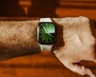 Ожидается, что в Apple Watch следующего поколения будет очень мало изменений в дизайне.