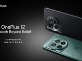 OnePlus 12. (Источник изображения: OnePlus)