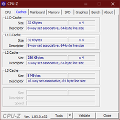 CPU-Z Caches