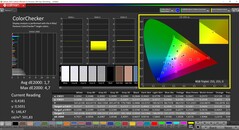 CalMAN ColorChecker (профиль: sRGB, целевое цветовое пространство: sRGB)