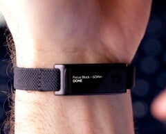 В настоящее время проект «The Jaye Band» финансируется на платформе Kickstarter.