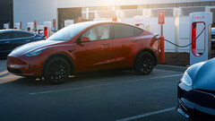 Tesla будет продавать автомобили в Costco Taiwan в рамках рекламной акции (Источник изображения: Tesla)