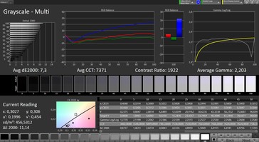 CalMAN: Greyscale – Стандартный профиль, sRGB