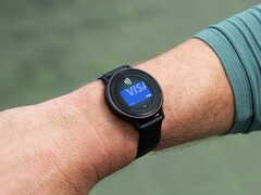 Смарт-часы Garmin Venu 3 и vivoactive 5 (на фото) получили бета-версию 15.05. (Источник изображения: Garmin)