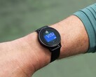 Смарт-часы Garmin Venu 3 и vivoactive 5 (на фото) получили бета-версию 15.05. (Источник изображения: Garmin)