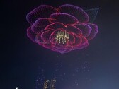 Сцена из очаровательного Чунцина с лепестками камелии, официального цветка Чунцина (Источник изображения: SB News; обрезано)