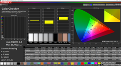 CalMAN ColorChecker (после калибровки)