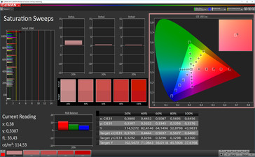 CalMAN color saturation (sRGB), профиль: простой