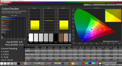 CalMAN: ColorChecker (после калибровки)