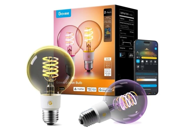 Govee E26 Smart Edison Light Bulb G25