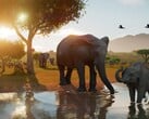 Planet Zoo 2 выходит 13 октября и уже входит в число самых кассовых игр Steam ещё до релиза.