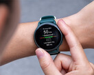За последние недели часы Vivoactive 6 получили три обновления с одинаковыми изменениями. (Источник изображения: Garmin)