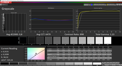 CalMAN Grayscale (DCI-P3)