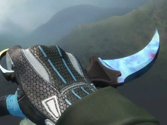 Скриншот ножа Karambit Case Hardened (источник изображения: Skinflow)