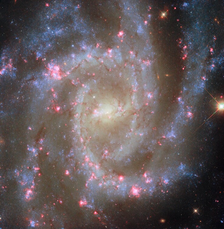 Изображение NGC 2835 на POTW (Источник изображения: ESA, NASA, Р. Чандар, Дж. Ли и команда PHANGS-HST)
