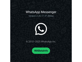 Заставка с оживленным зеленым фоном и логотипом WhatsApp, на которой указан номер последней бета-версии. (Источник изображения: @WABetaInfo на X)