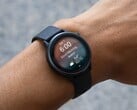 Смарт-часы vivoactive 6 от Garmin (на фото) получили новое стабильное обновление. (Источник изображения: Garmin)