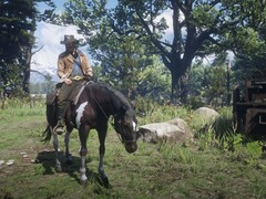 Изображение, показывающее Артура Моргана на его лошади в Red Dead Redemption 2. (Источник изображения: Rockstar Games)