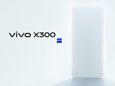 Пока что компания Vivo показала только силуэт Vivo X300. (Источник изображения: Vivo - отредактировано)