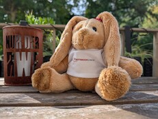 Снимок в исходном качестве