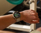 Fenix 8 - одни из нескольких смарт-часов, которые ожидают стабильного обновления v17.xx. (Источник изображения: Garmin)