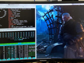 Сайт Witcher 3 не очень удобен для игры на RISC-V (Источник изображения: Box86)