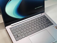 Asus ExpertBook PM3 (источник изображения: Notebookcheck)