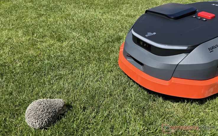 Обнаружение препятствий на Navimow X3 работает почти идеально. (Источник изображения: Notebookcheck)