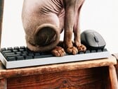 Компания Wallhack выходит на рынок игровых клавиатур и мышей.