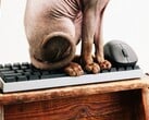 Компания Wallhack выходит на рынок игровых клавиатур и мышей.