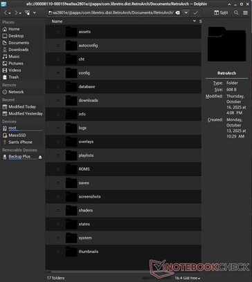 У Вас даже есть доступ к файлам определенных приложений, например, RetroArch. 