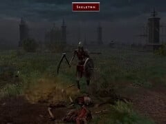 Мы сталкиваемся со скелетом в Diablo II: Resurrected VR
