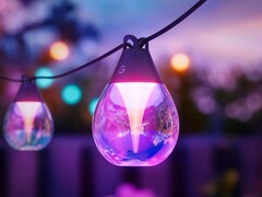 Появилась версия Govee Outdoor Clear Bulb String Lights длиной 96 футов (30 м). (Источник изображения: Govee)