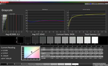 Шкалы серого (True Tone деактивирован, целевое цветовое пространство: sRGB)