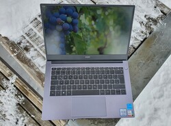 Huawei MateBook D 14 2022