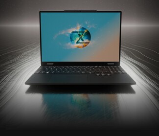 Предлагается чрезвычайно быстрый QHD-дисплей с частотой 300 Гц. (Источник изображения: Tuxedo)