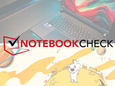 Логотип Notebookcheck на снимке ноутбука и графика Reddit. (Источник изображения: Notebookcheck и Reddit, с правками)