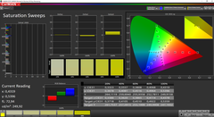 CalMAN saturation (DCI-P3)