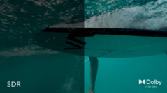 Новое обновление Vimeo затронет создателей видео и тех, кто его смотрит (Изображение: Vimeo)