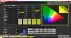Насыщенность CalMAN (профиль: P3, целевое цветовое пространство: P3)