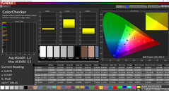 CalMAN ColorChecker (sRGB)