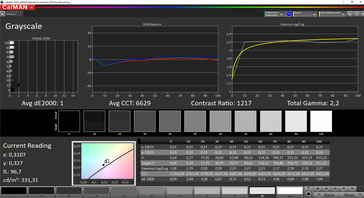 CalMAN Grayscale macOS (sRGB)