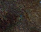 Составное изображение, показывающее участок межзвездной среды, просвеченный рентгеном на наличие серы (Источник изображения: DSS, DECaPS, eRosita и NASA; обрезано)