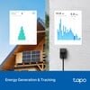 TP-Link Tapo P410M Smart Wi-Fi Outdoor Plug может следить за потреблением энергии. (Источник изображения: Tapo)