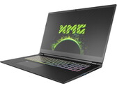 Краткий обзор ноутбука Schenker XMG Pro 17 (Clevo PC70HS, RTX 3080)